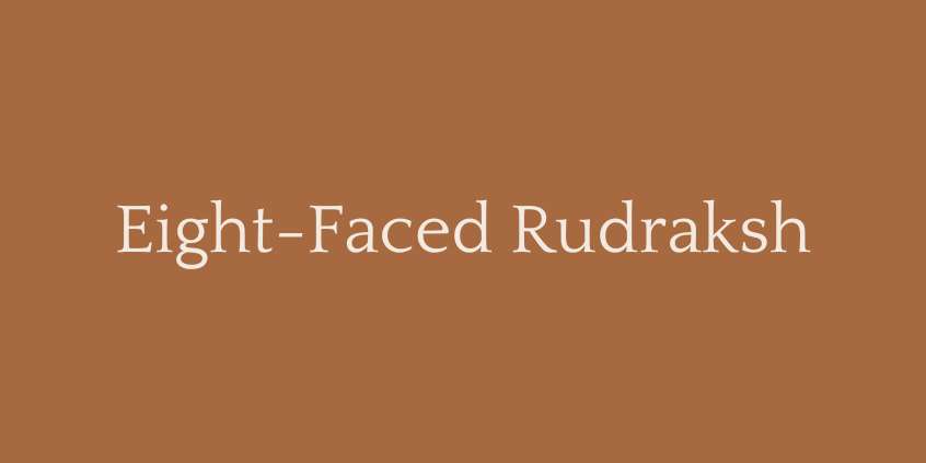 Eight-Faced Rudraksh (8 Mukhi Rudraksha)